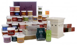 Scentsy Starter Kit Contents