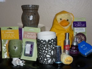 Scentsy Wickless Products