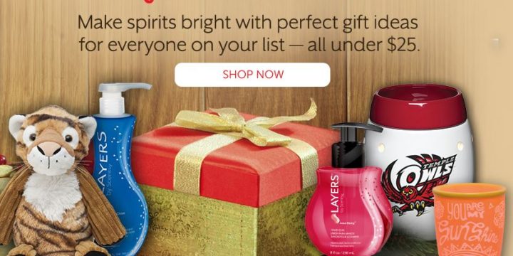 Scentsy Gift ideas for Sale for under $25