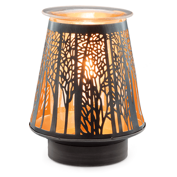 in the shadows scentsy warmer