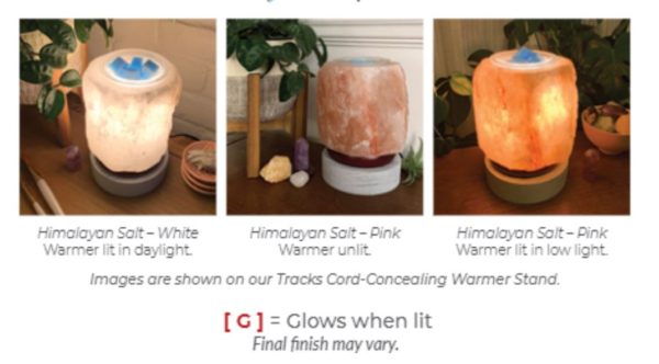 Himalayan Salt Scentsy Warmer January 2020 Warmer of the Month