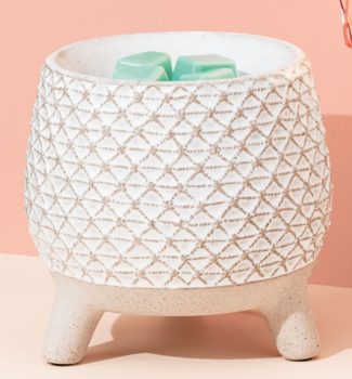 take a stand scentsy warmer