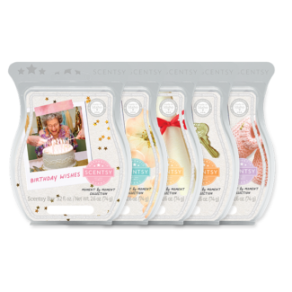 Moment by Moment Scentsy Wax Collection