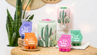 scentsy summer collection