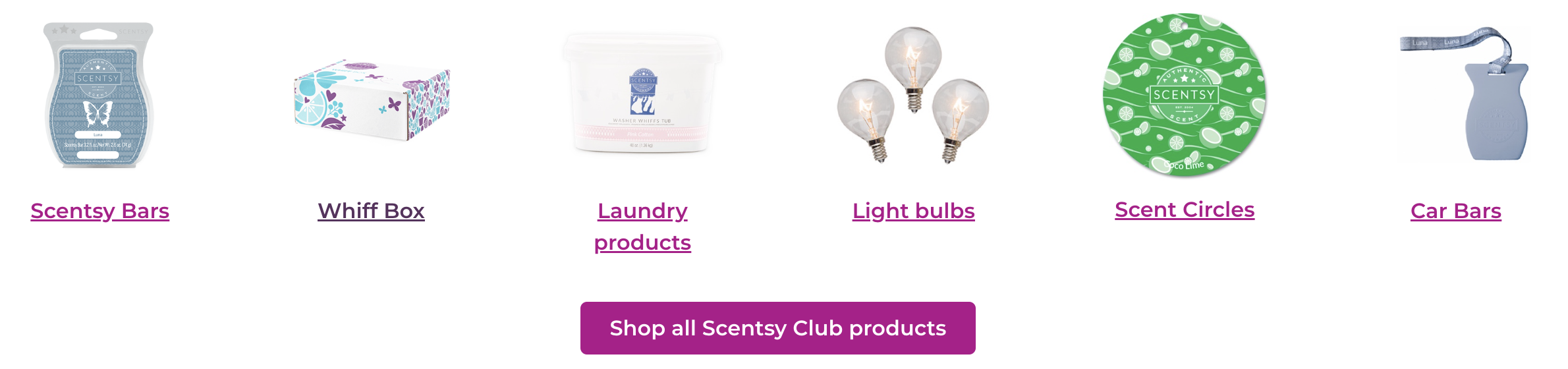 Scentsy Club Most popular Products