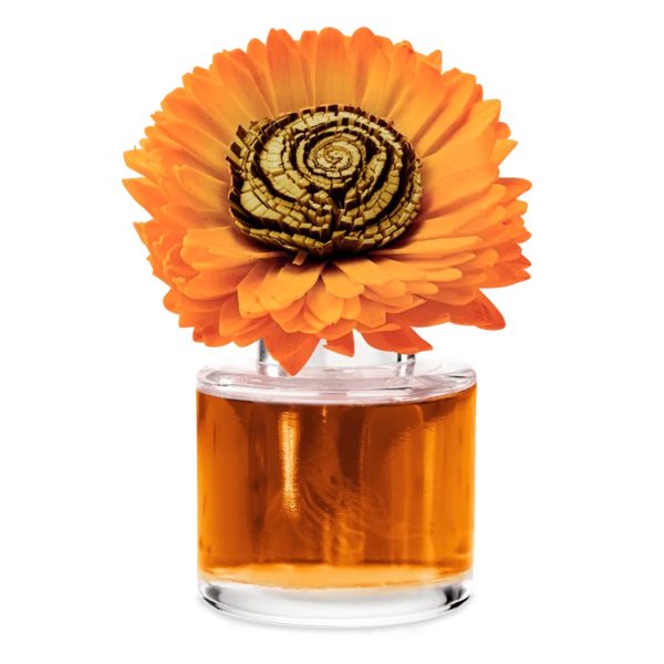 Fall Into Love – Stunning Sunflower Fragrance Flower