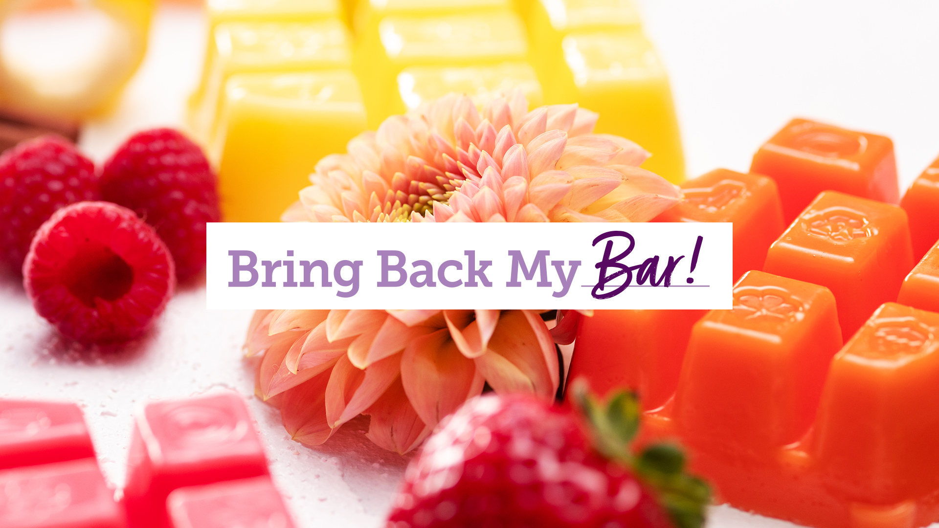 Scentsy 2024 Bring Back my Bar Winners Scentsy The Safest Candles