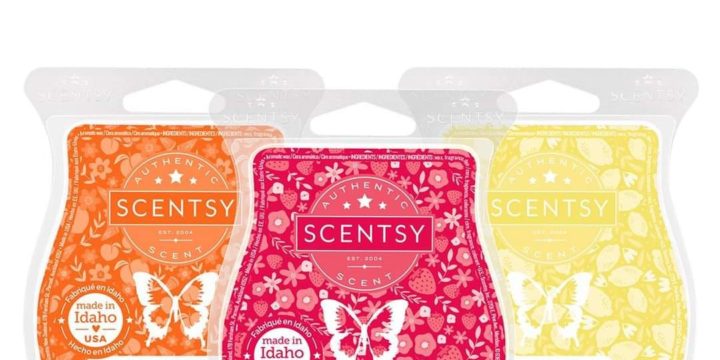 New 2024 Scentsy Scents